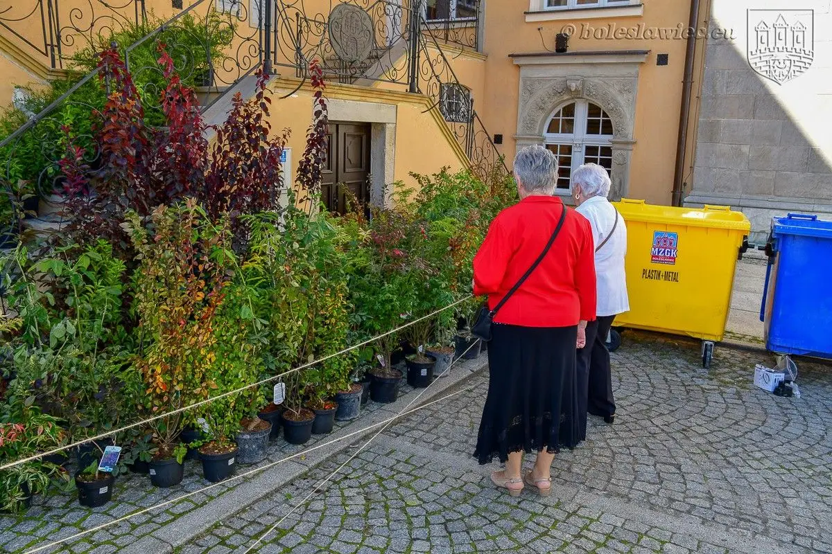 Bolesławianie wzięli udział w akcji „Nasze miasto oddycha”