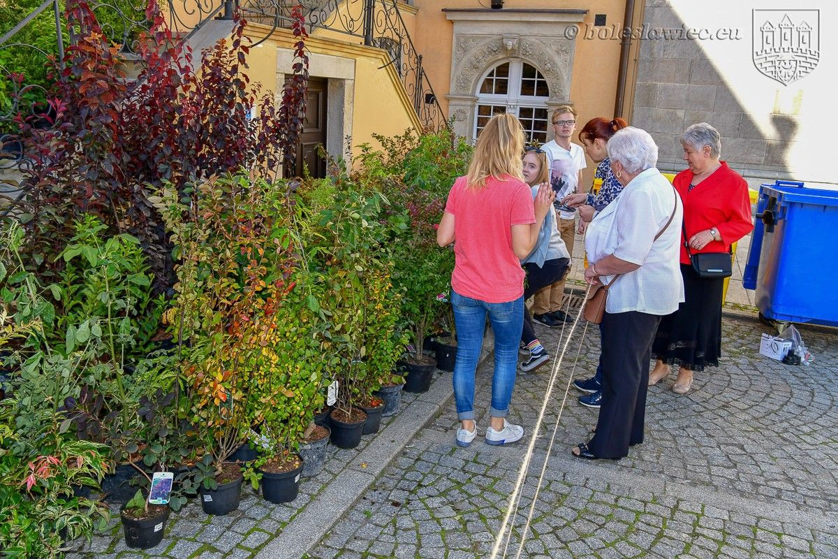 Bolesławianie wzięli udział w akcji „Nasze miasto oddycha”