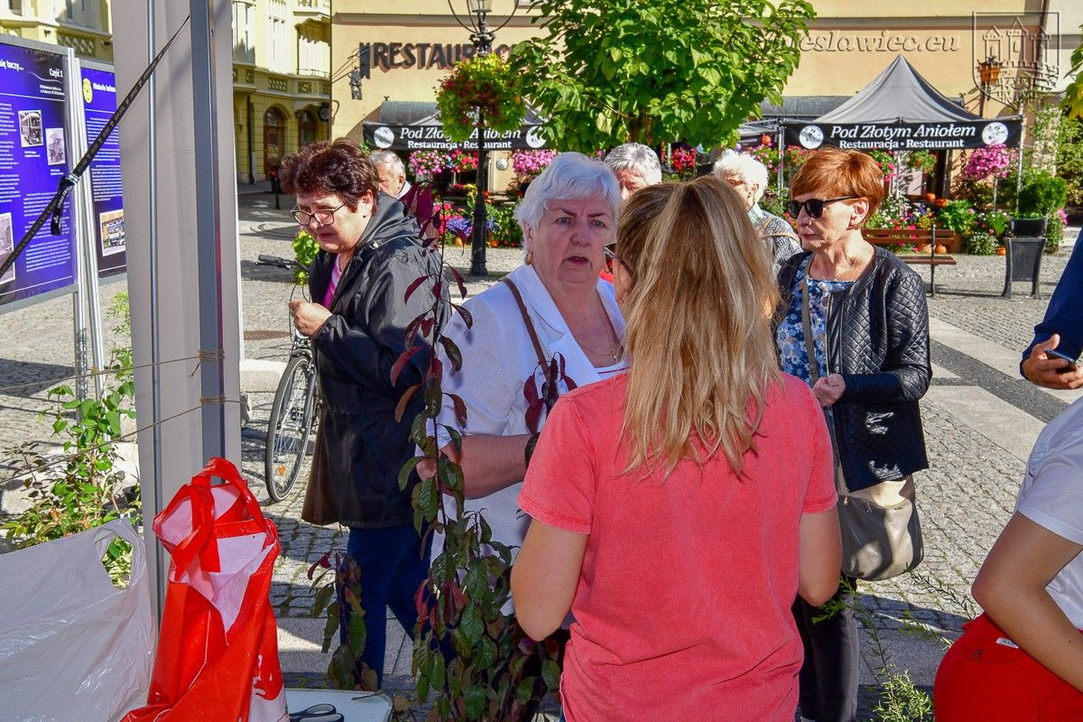 Bolesławianie wzięli udział w akcji „Nasze miasto oddycha”