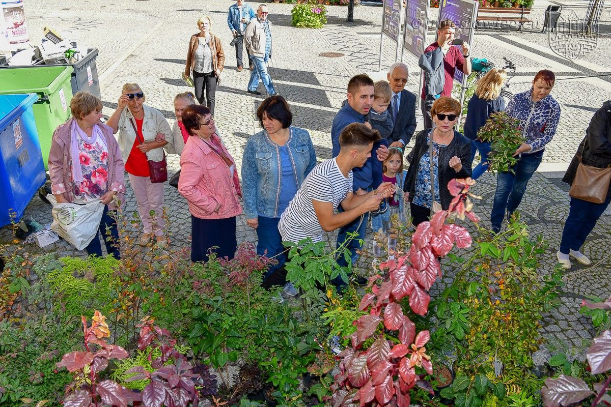 Bolesławianie wzięli udział w akcji „Nasze miasto oddycha”
