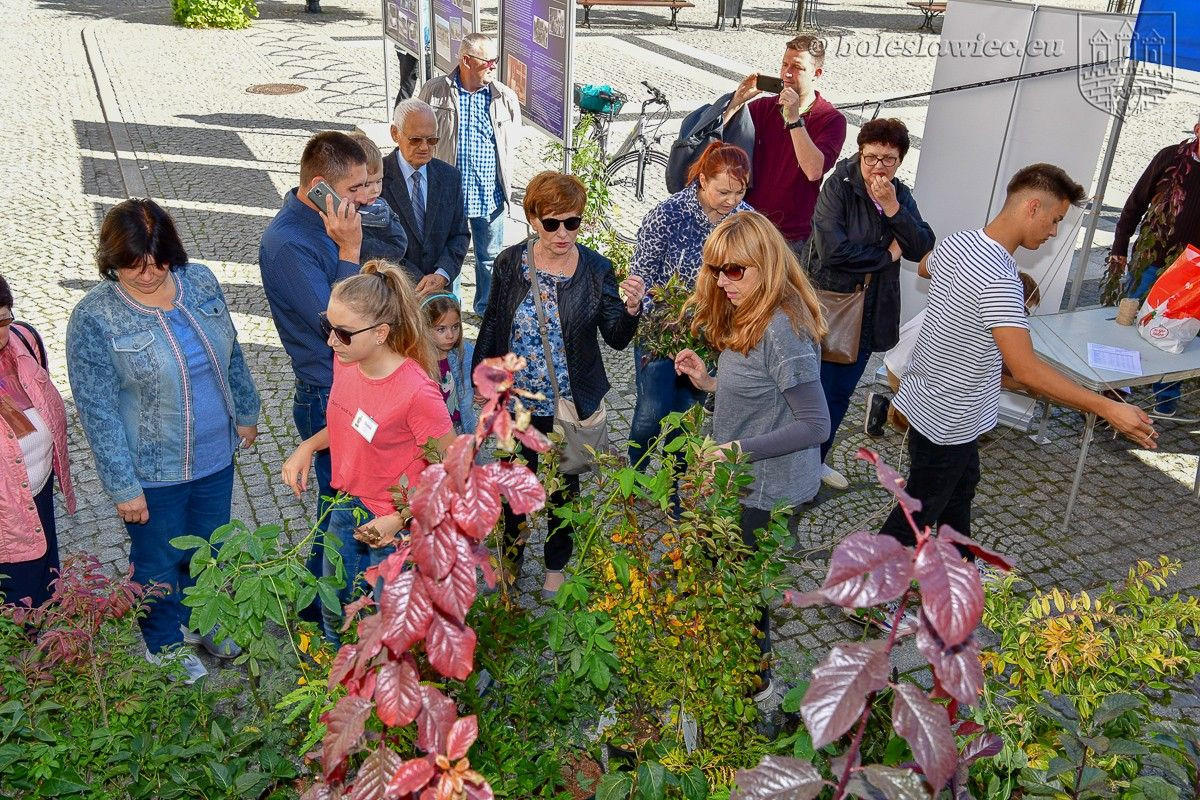 Bolesławianie wzięli udział w akcji „Nasze miasto oddycha”