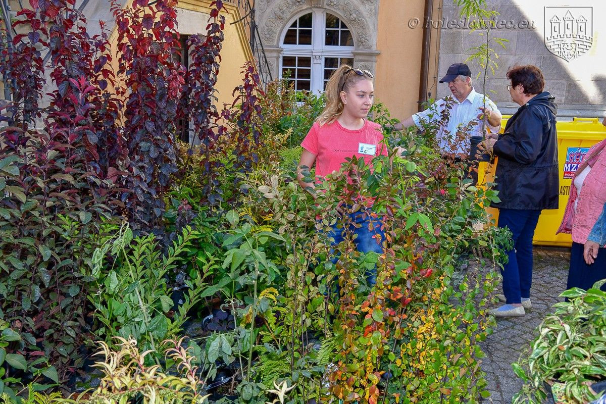 Bolesławianie wzięli udział w akcji „Nasze miasto oddycha”
