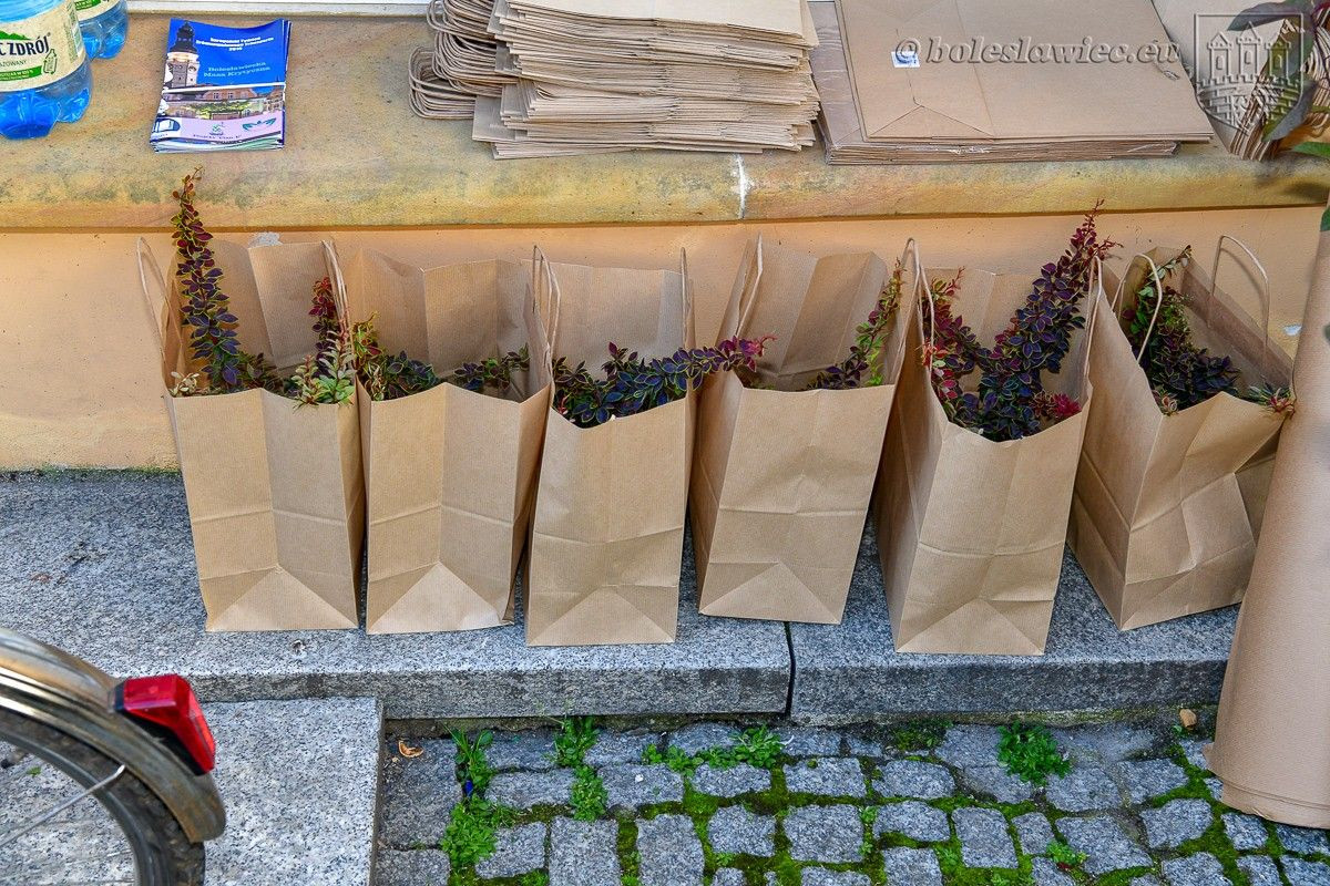 Bolesławianie wzięli udział w akcji „Nasze miasto oddycha”