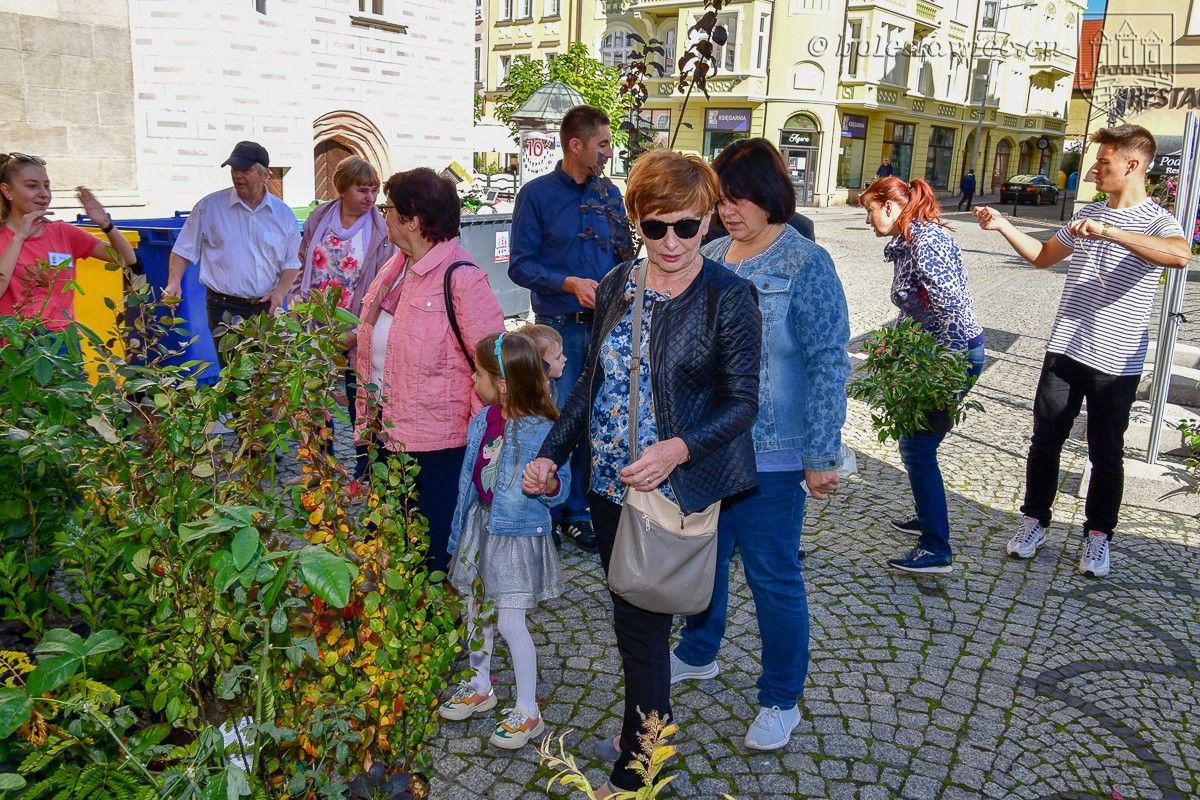 Bolesławianie wzięli udział w akcji „Nasze miasto oddycha”