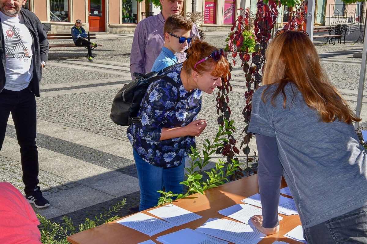 Bolesławianie wzięli udział w akcji „Nasze miasto oddycha”