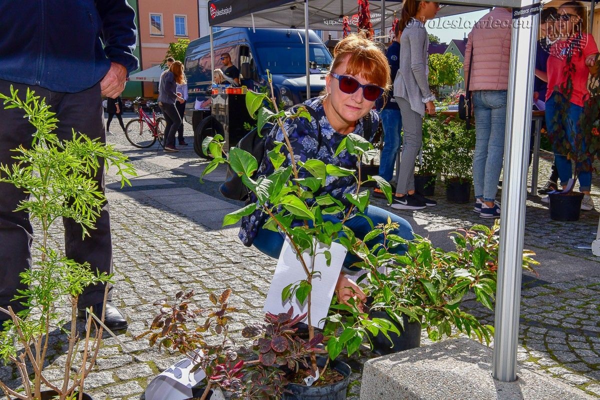 Bolesławianie wzięli udział w akcji „Nasze miasto oddycha”