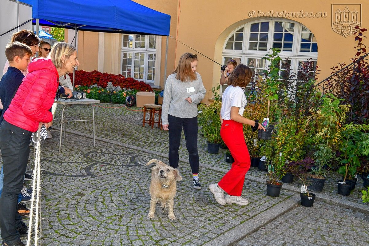 Bolesławianie wzięli udział w akcji „Nasze miasto oddycha”