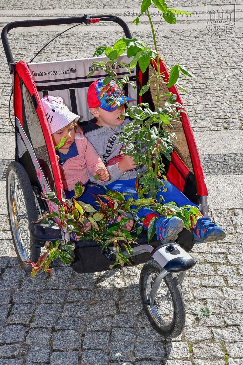 Bolesławianie wzięli udział w akcji „Nasze miasto oddycha”