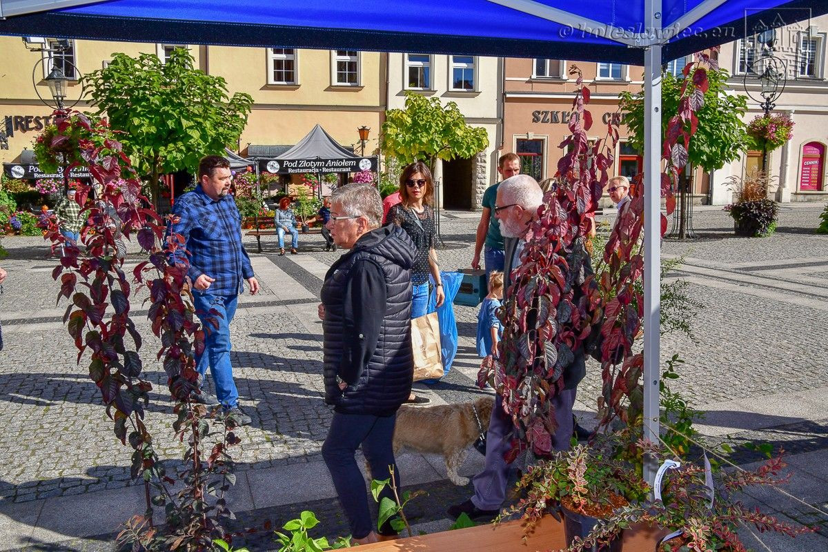 Bolesławianie wzięli udział w akcji „Nasze miasto oddycha”