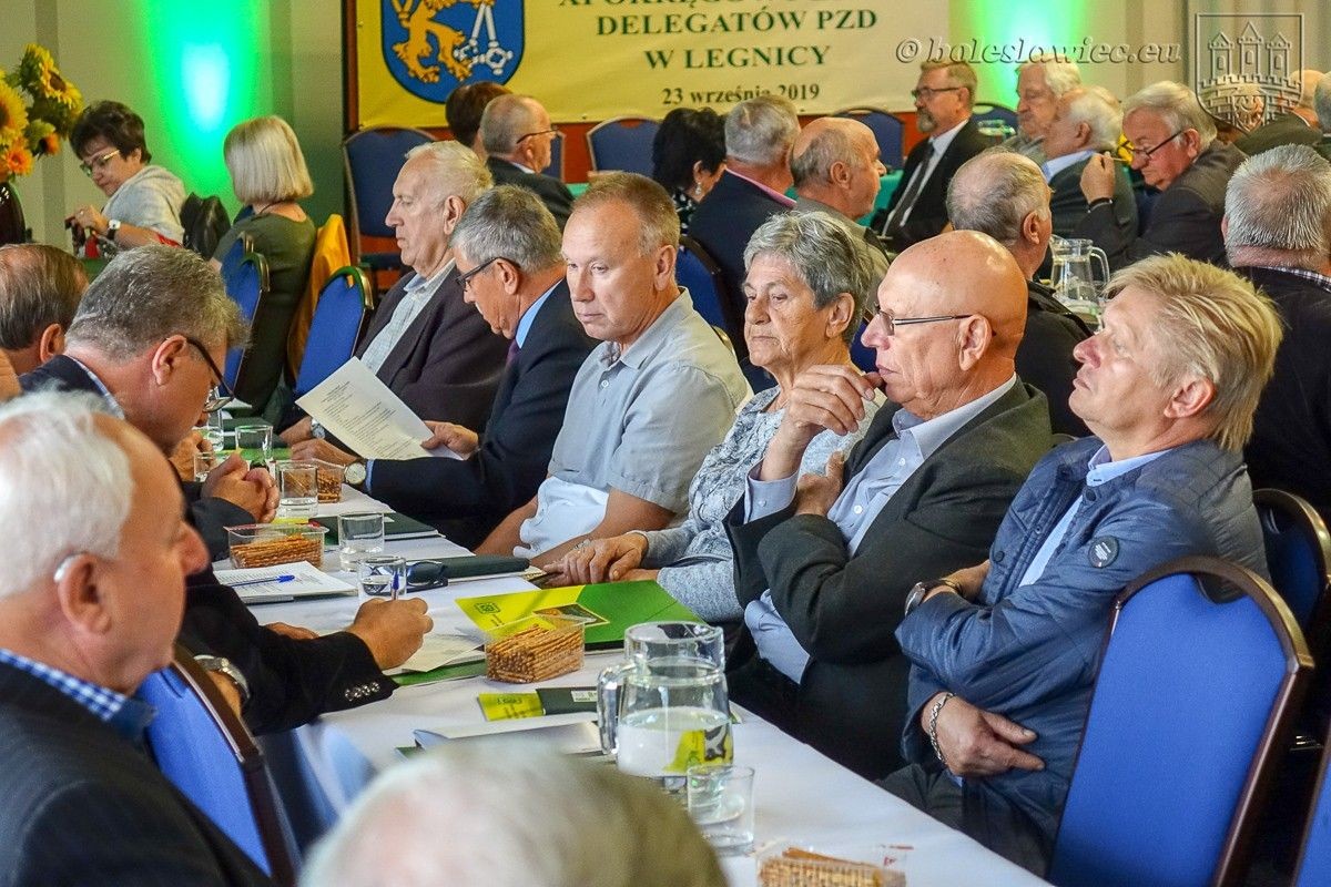 Ogrody działkowe – zielone płuca miast, relaks i integracja