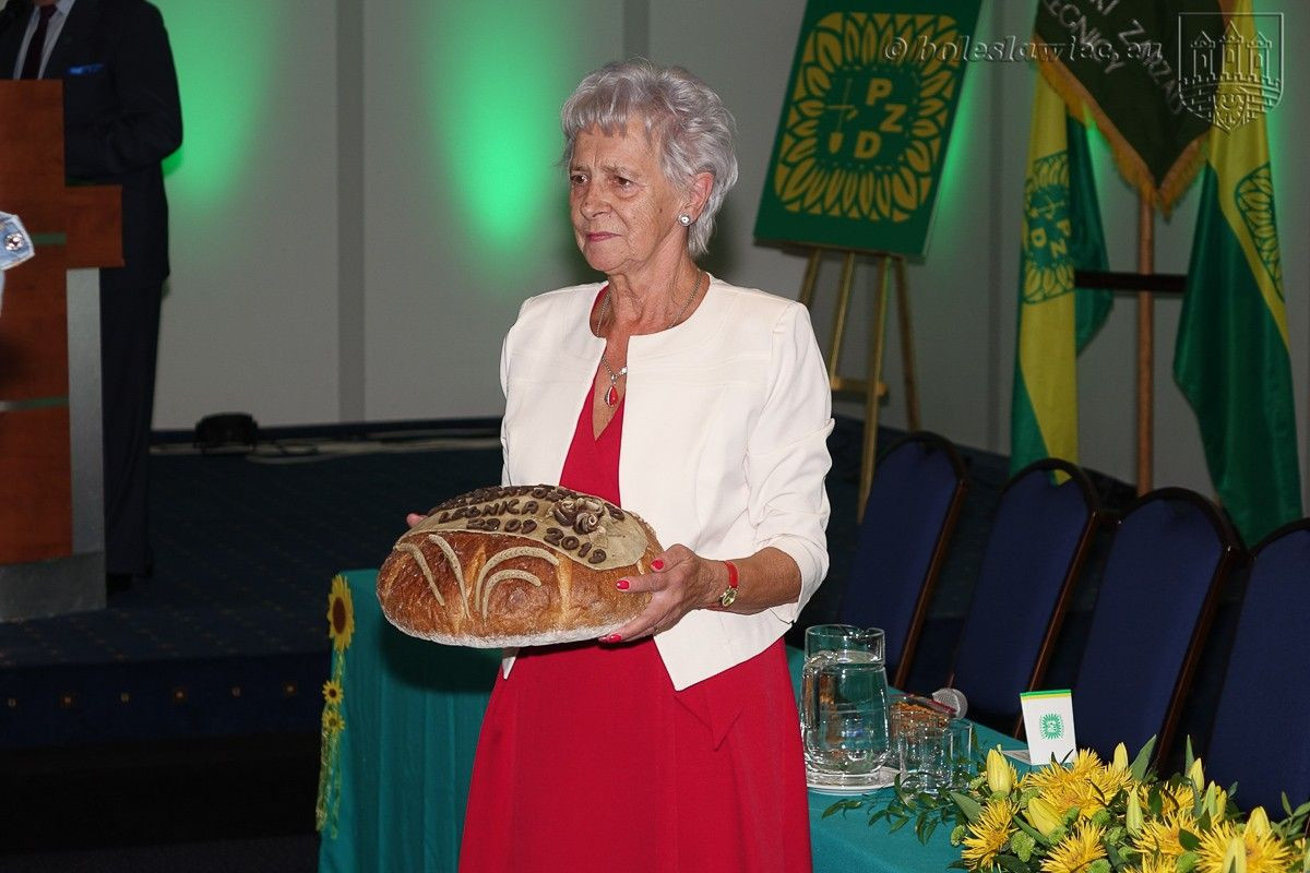 Ogrody działkowe – zielone płuca miast, relaks i integracja