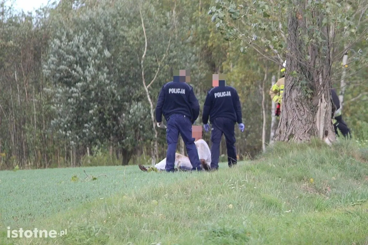 Pościg i wypadek koło Łazisk