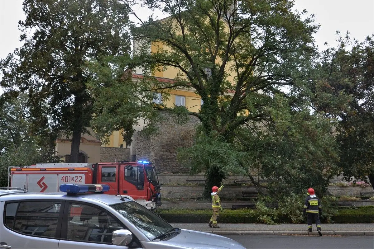 Буревій, дві ДТП, пожежа — насичений початок тижня для пожежників
