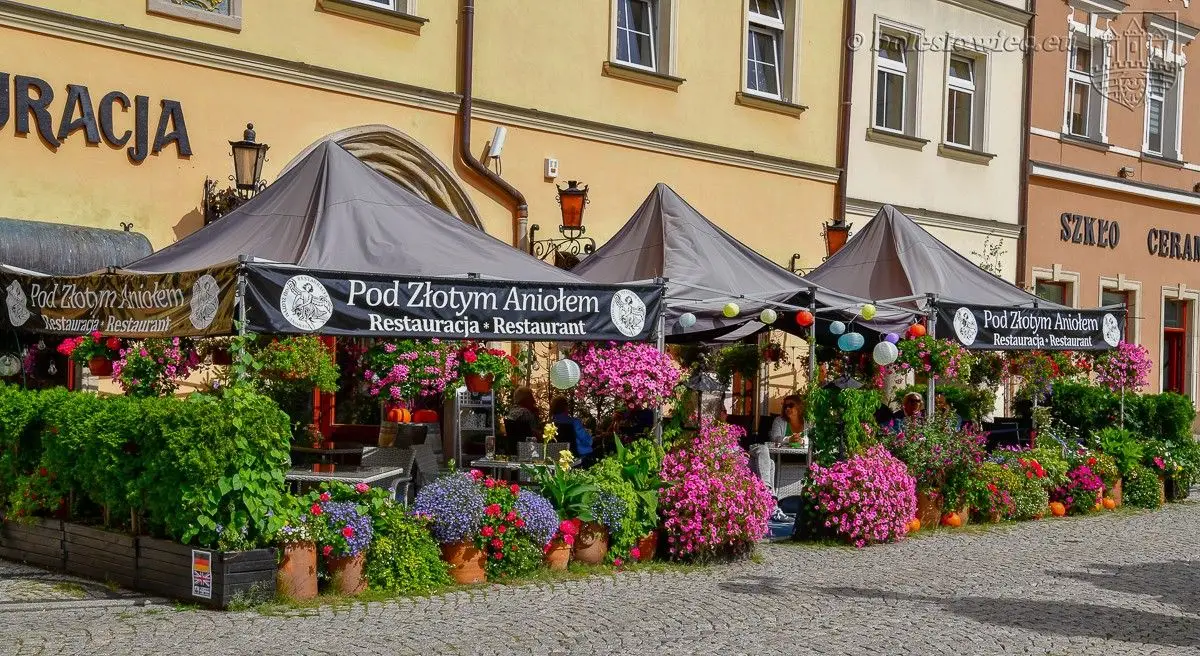 Znamy laureatów konkursu „Bolesławiec w kwiatach 2019”