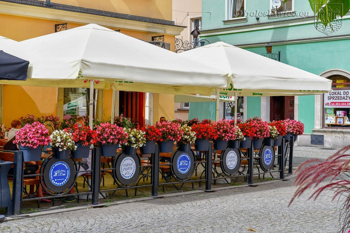 Znamy laureatów konkursu „Bolesławiec w kwiatach 2019”