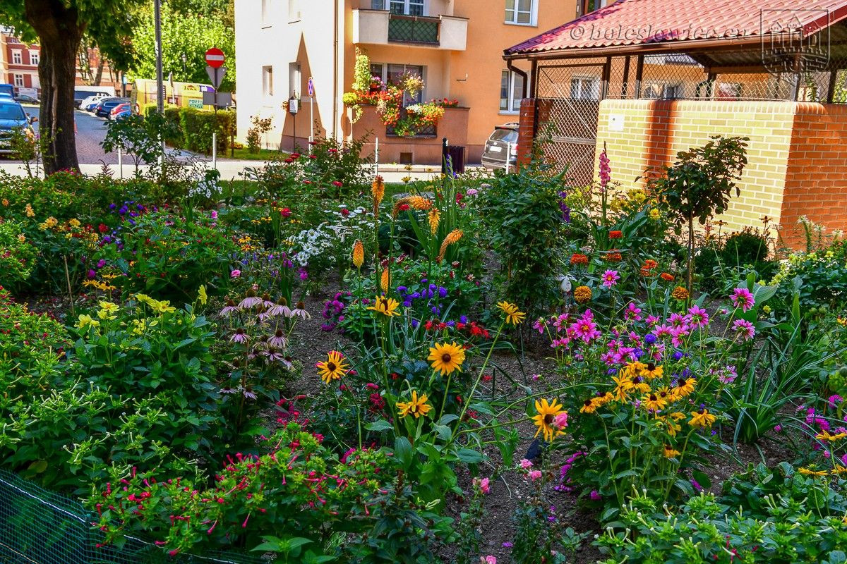 Znamy laureatów konkursu „Bolesławiec w kwiatach 2019”