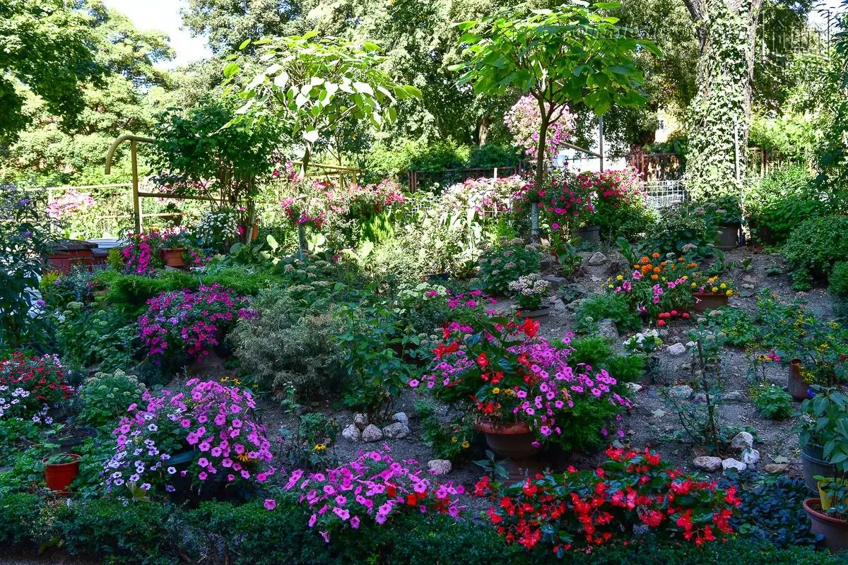 Winners of the “Bolesławiec in Flowers 2019” Competition Announced