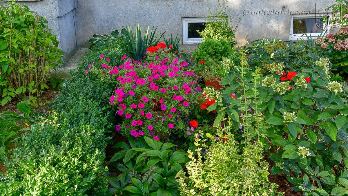 Znamy laureatów konkursu „Bolesławiec w kwiatach 2019”