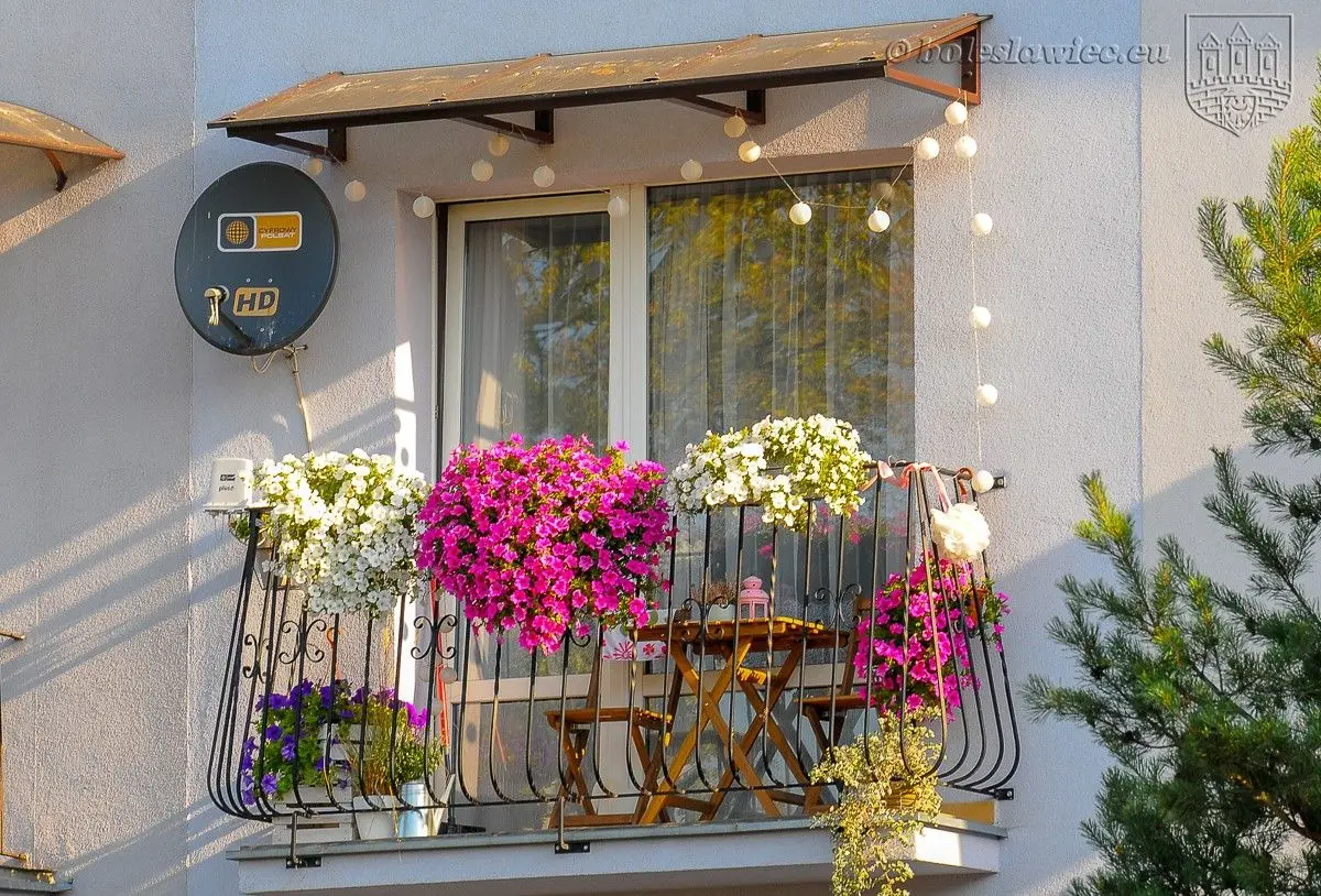 Winners of the “Bolesławiec in Flowers 2019” Competition Announced