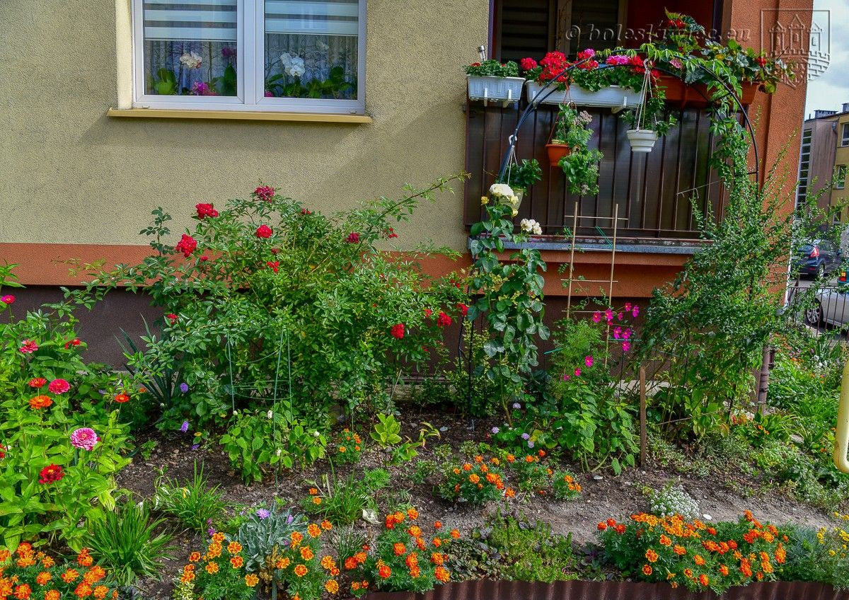 Znamy laureatów konkursu „Bolesławiec w kwiatach 2019”