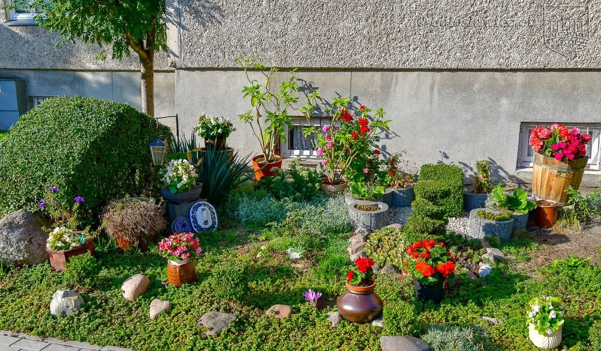 Winners of the “Bolesławiec in Flowers 2019” Competition Announced