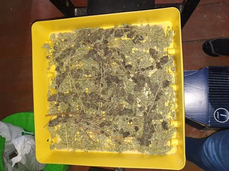 30-latek wpadł z 1/3 kilograma marychy