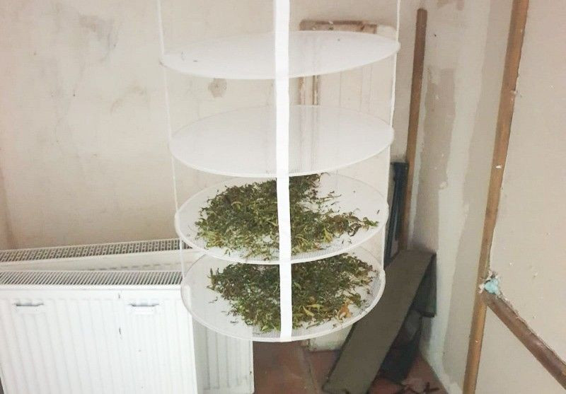 30-latek wpadł z 1/3 kilograma marychy