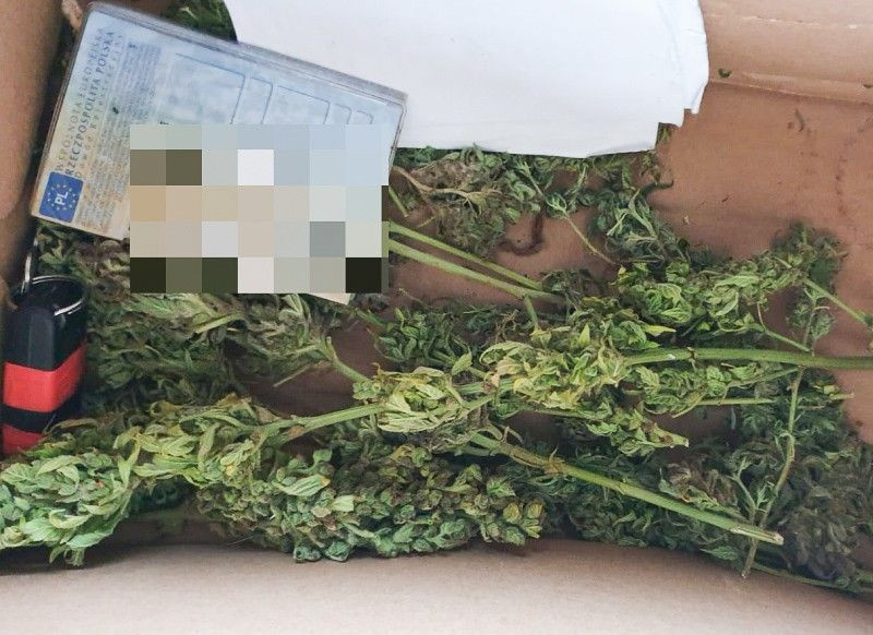 30-latek wpadł z 1/3 kilograma marychy