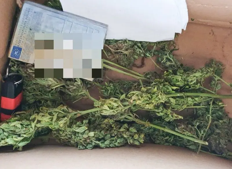 30-latek wpadł z 1/3 kilograma marychy