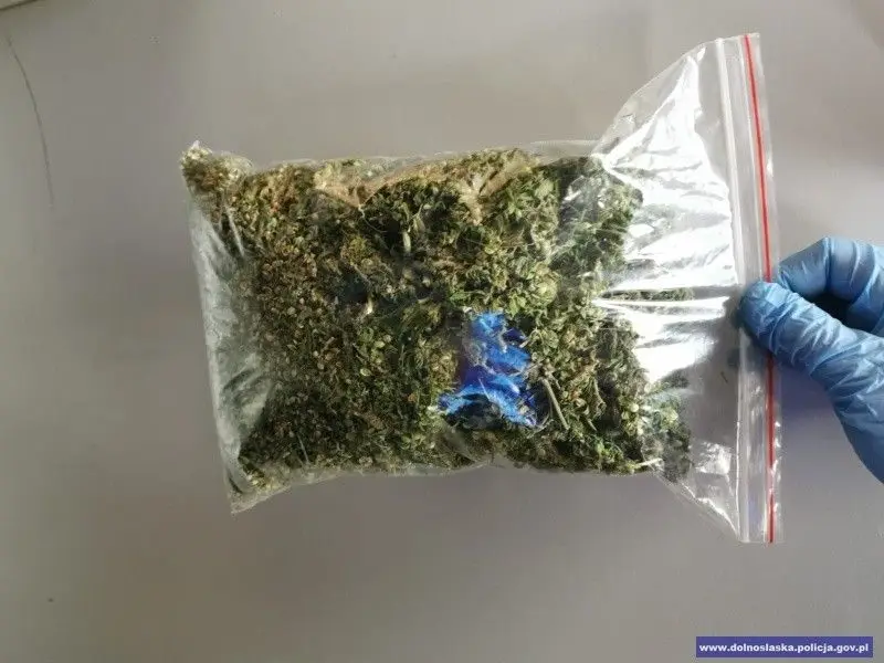 Caught with 2,000 marijuana portions. He claimed he found the weed in... the forest