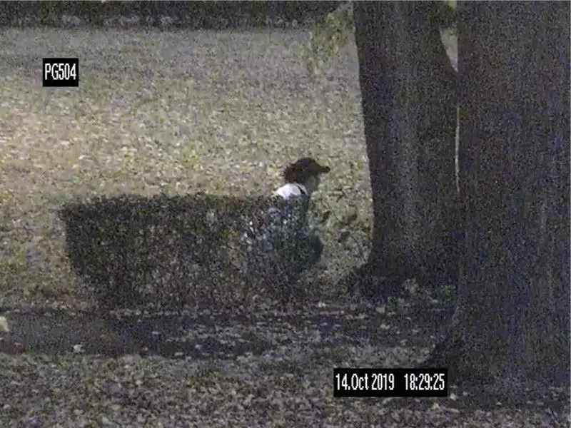 “Without Any Shame,” They Drank Alcohol and Urinated in the Park. They Received Fines