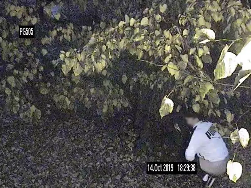 «Без жодного сорому» пили алкоголь і справляли нужду в парку. Отримали штрафи