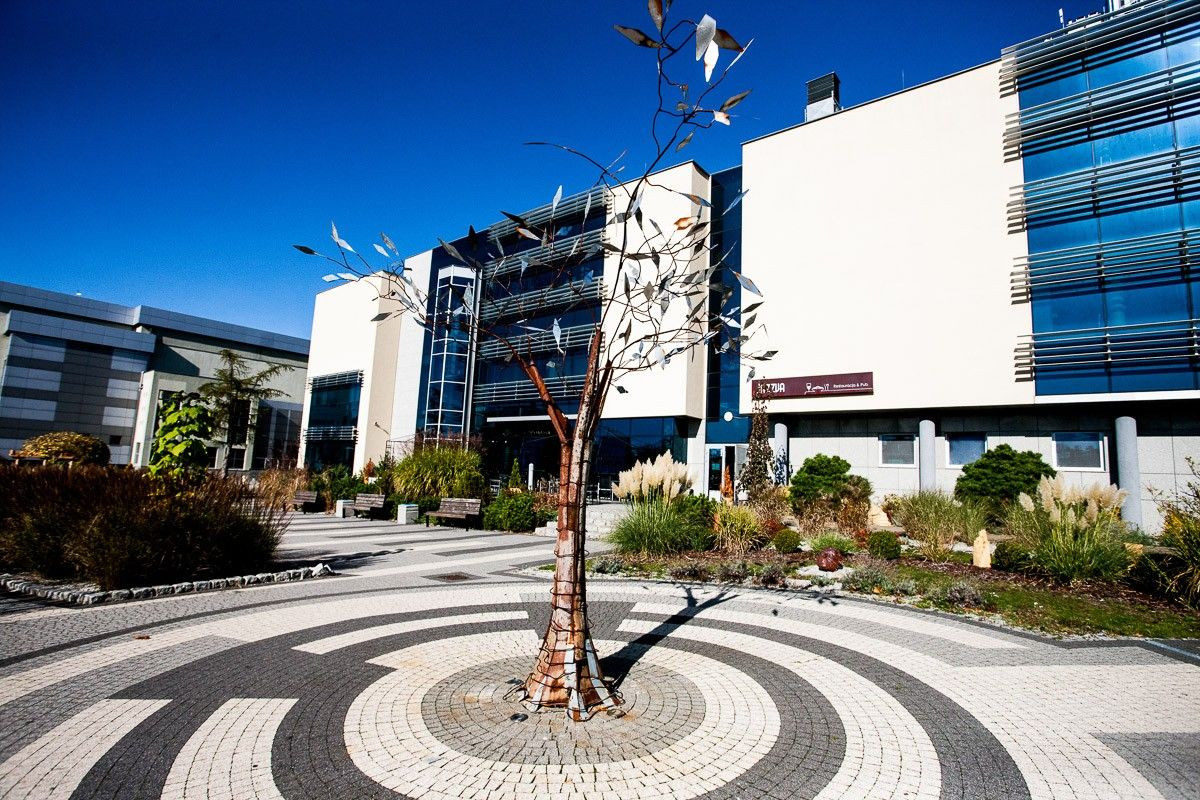 Prace Waldemara Cieślaka