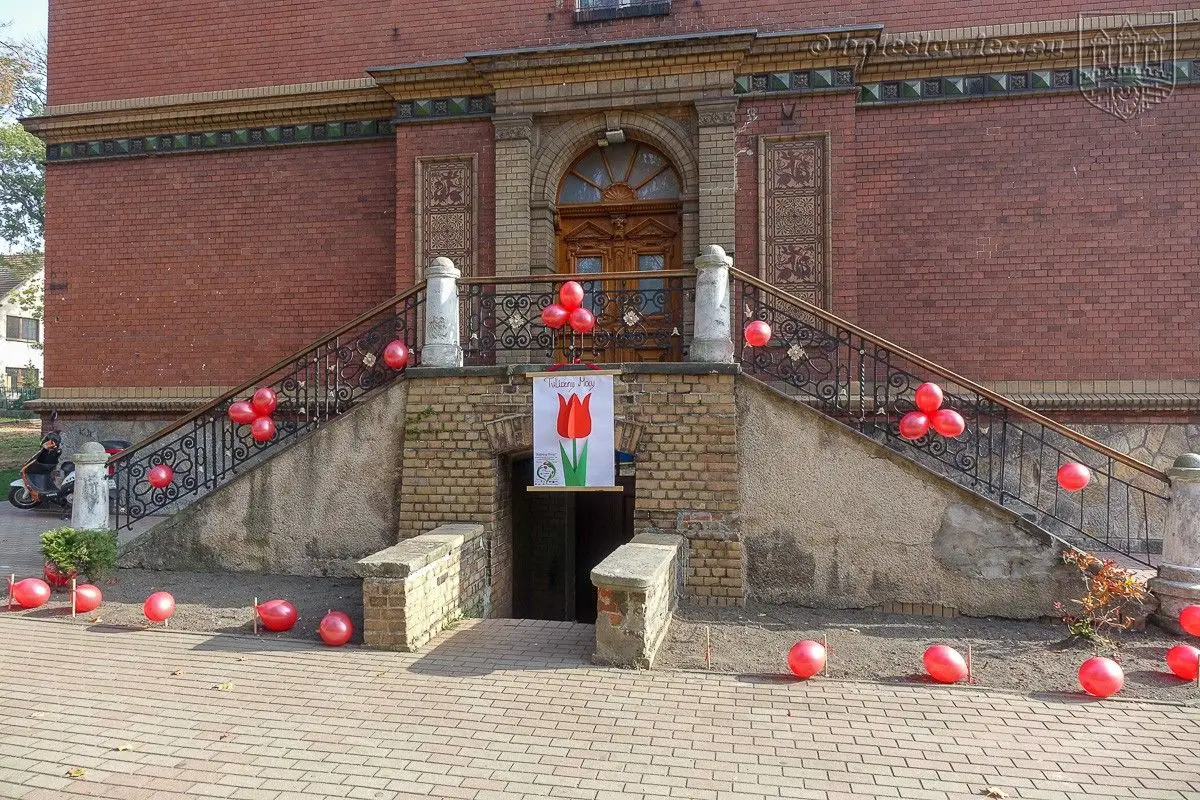 Дошкільнята посадили «Тюльпани сили», щоб підтримати тяжкохворих дітей