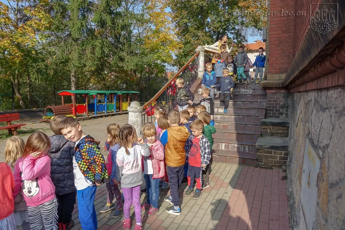 Дошкільнята посадили «Тюльпани сили», щоб підтримати тяжкохворих дітей