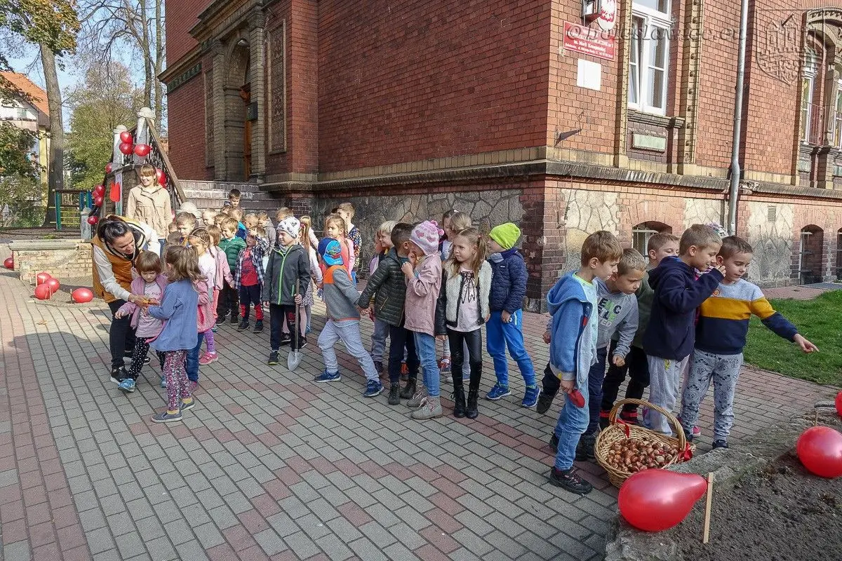 Przedszkolaki posadziły „Tulipany Mocy”, aby wesprzeć ciężko chore dzieciaki