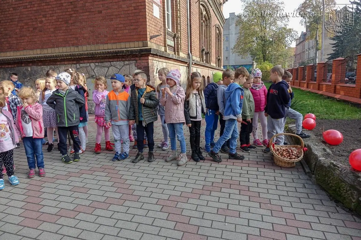 Дошкільнята посадили «Тюльпани сили», щоб підтримати тяжкохворих дітей