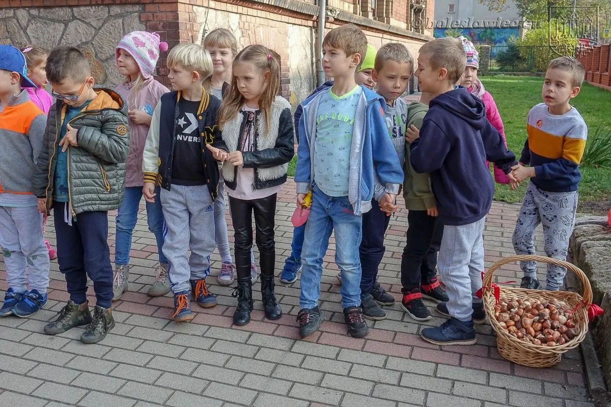 Przedszkolaki posadziły „Tulipany Mocy”, aby wesprzeć ciężko chore dzieciaki