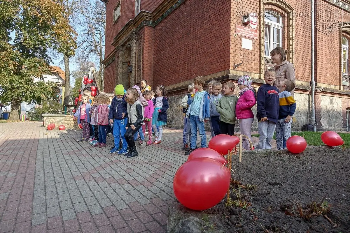 Дошкільнята посадили «Тюльпани сили», щоб підтримати тяжкохворих дітей