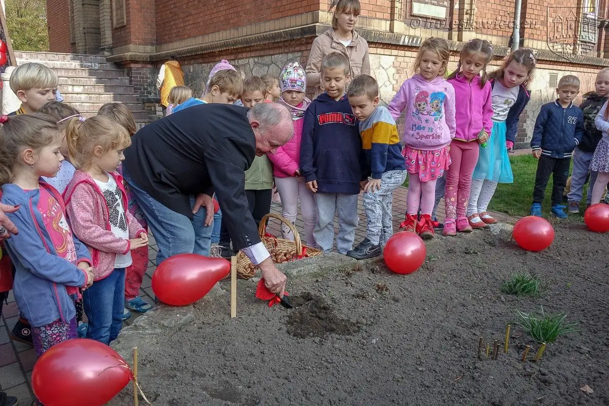 Дошкільнята посадили «Тюльпани сили», щоб підтримати тяжкохворих дітей