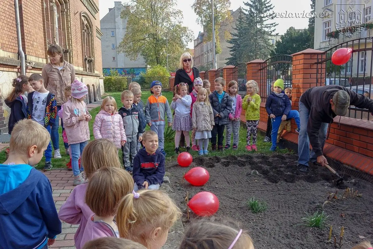 Preschoolers planted “Tulips of Power” to support seriously ill children