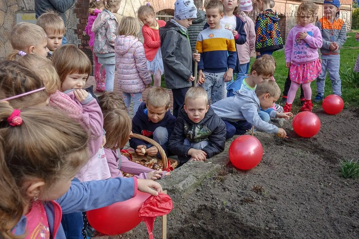 Przedszkolaki posadziły „Tulipany Mocy”, aby wesprzeć ciężko chore dzieciaki