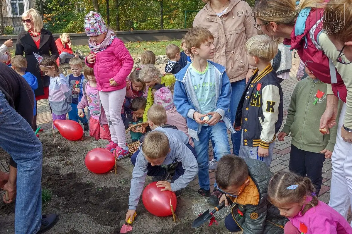 Przedszkolaki posadziły „Tulipany Mocy”, aby wesprzeć ciężko chore dzieciaki