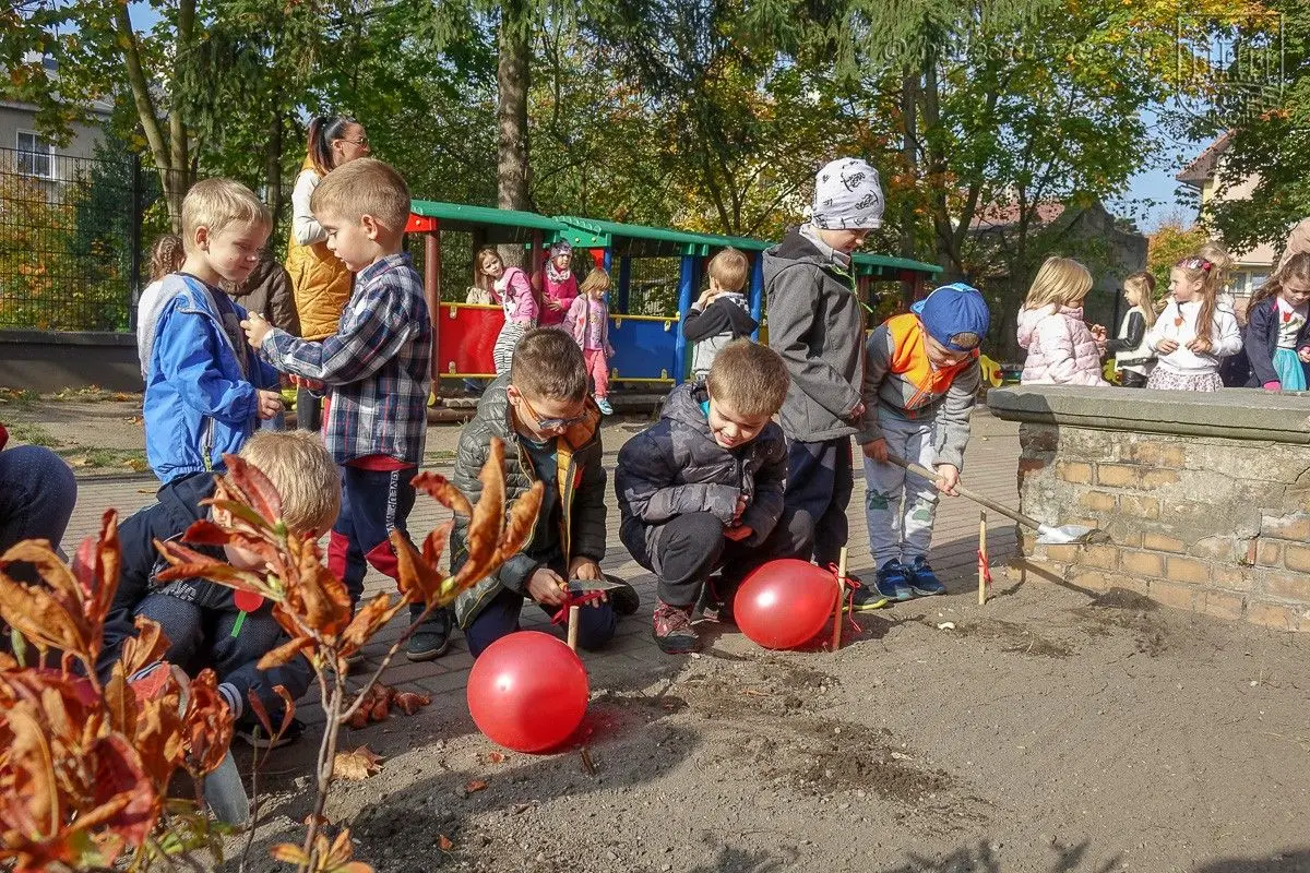 Przedszkolaki posadziły „Tulipany Mocy”, aby wesprzeć ciężko chore dzieciaki