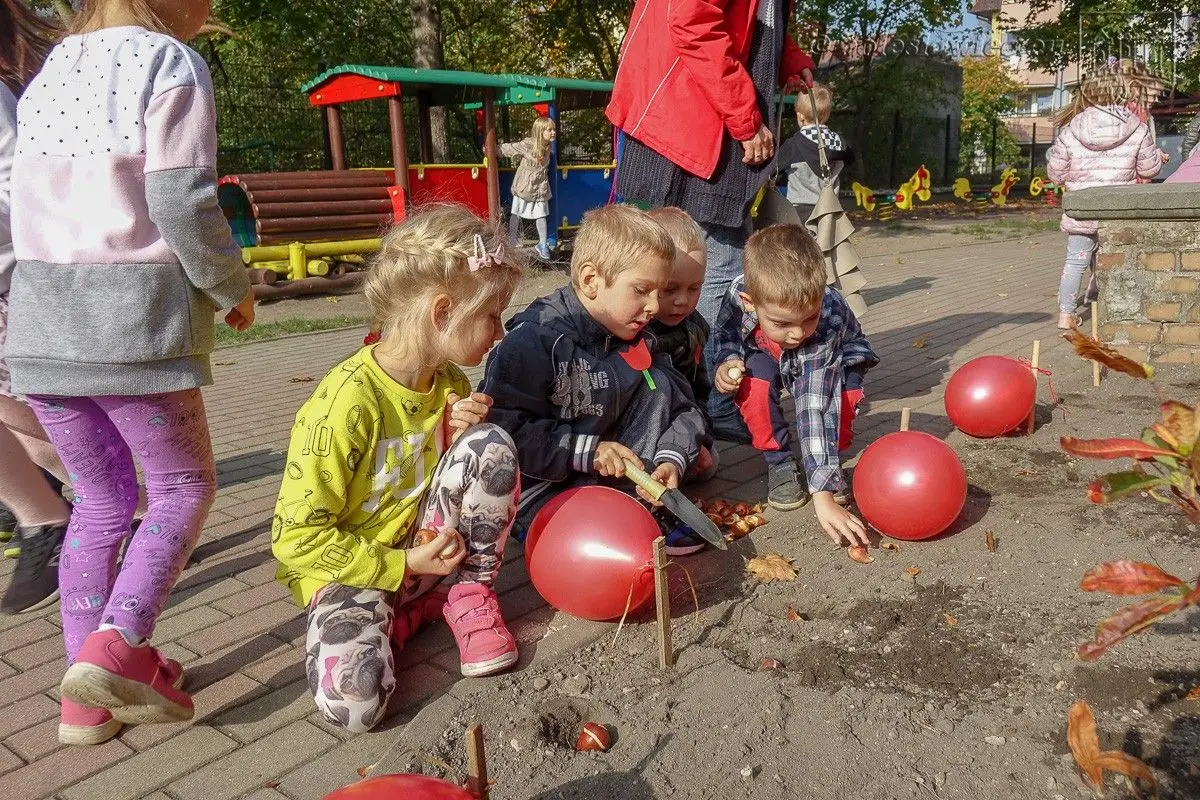Przedszkolaki posadziły „Tulipany Mocy”, aby wesprzeć ciężko chore dzieciaki