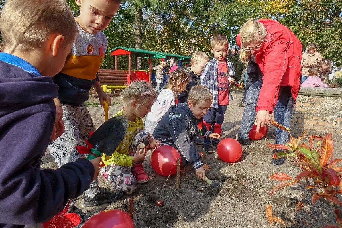 Дошкільнята посадили «Тюльпани сили», щоб підтримати тяжкохворих дітей