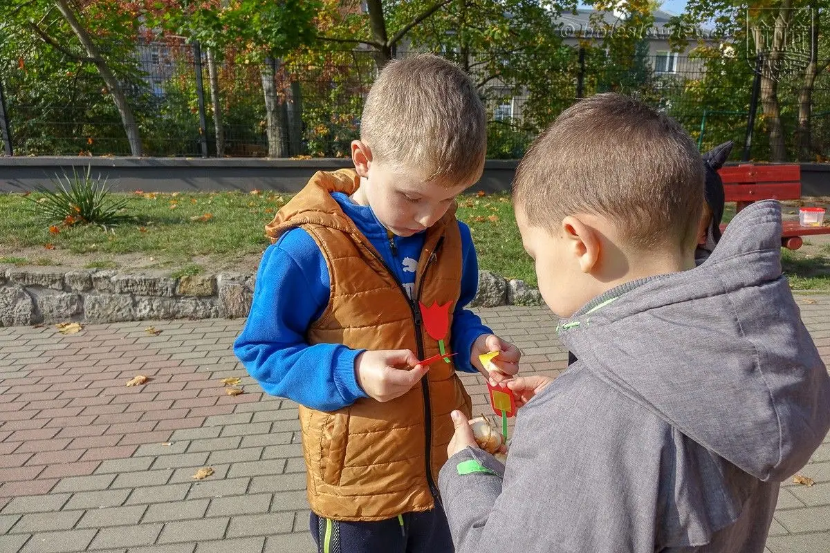 Przedszkolaki posadziły „Tulipany Mocy”, aby wesprzeć ciężko chore dzieciaki