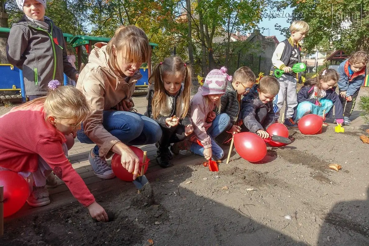 Przedszkolaki posadziły „Tulipany Mocy”, aby wesprzeć ciężko chore dzieciaki