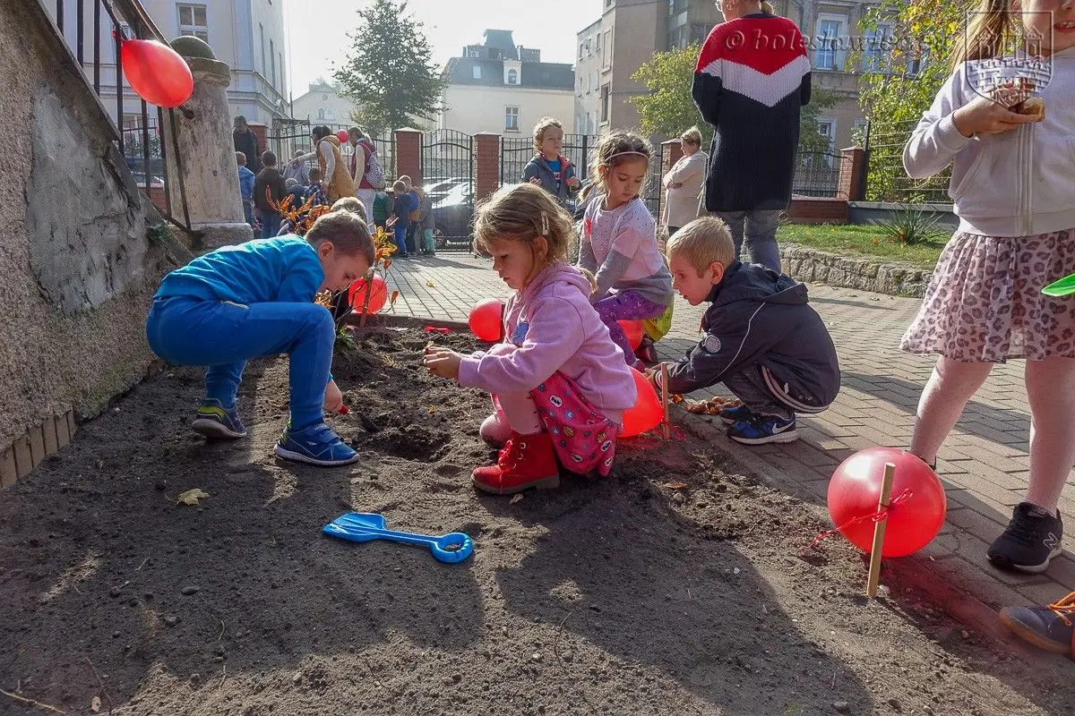Przedszkolaki posadziły „Tulipany Mocy”, aby wesprzeć ciężko chore dzieciaki