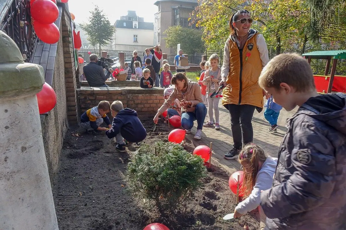 Przedszkolaki posadziły „Tulipany Mocy”, aby wesprzeć ciężko chore dzieciaki